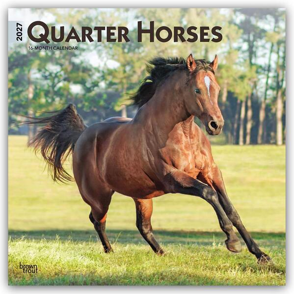 Quarter Horses - Quarter Horse 2027 - 16-Monatskalender