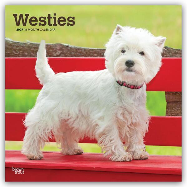 West Highland White Terriers - Westhighland White Terrier - Westies 2027 - 16-Monatskalender