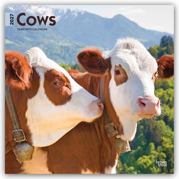Cows - Kühe 2027 - 16-Monatskalender