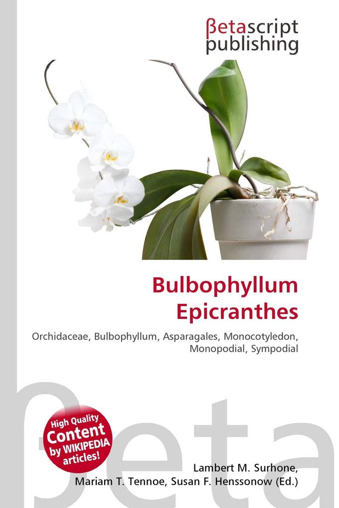 Bulbophyllum Epicranthes
