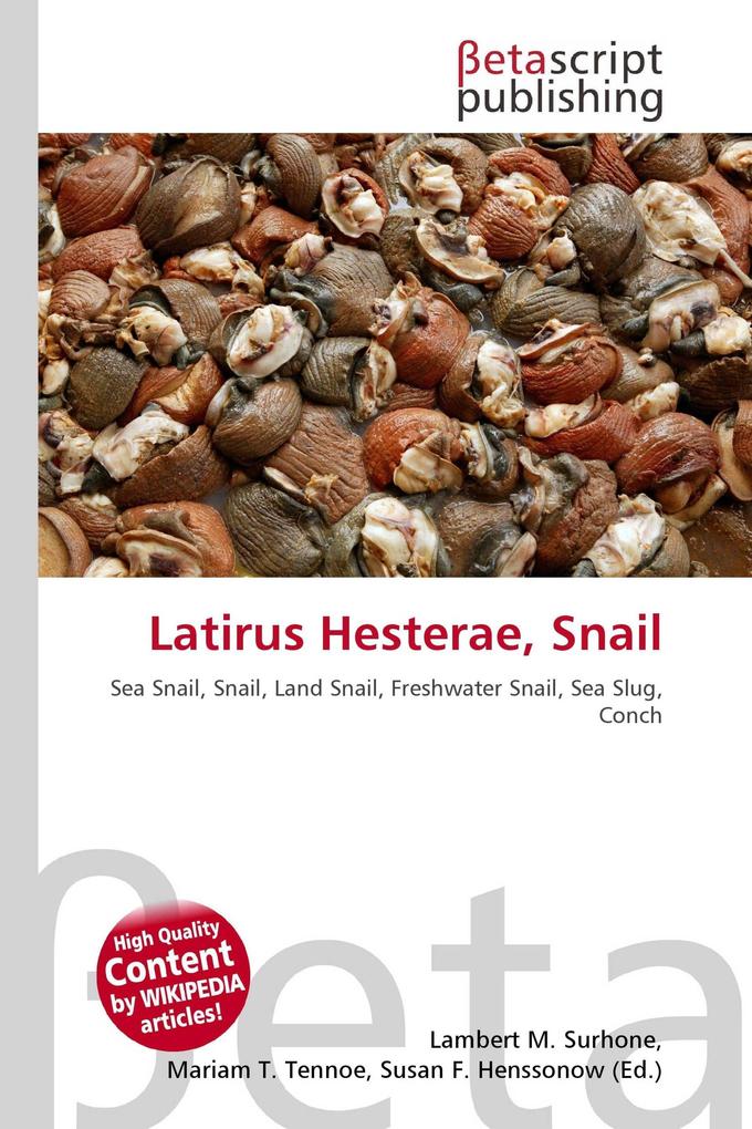 Latirus Hesterae Snail