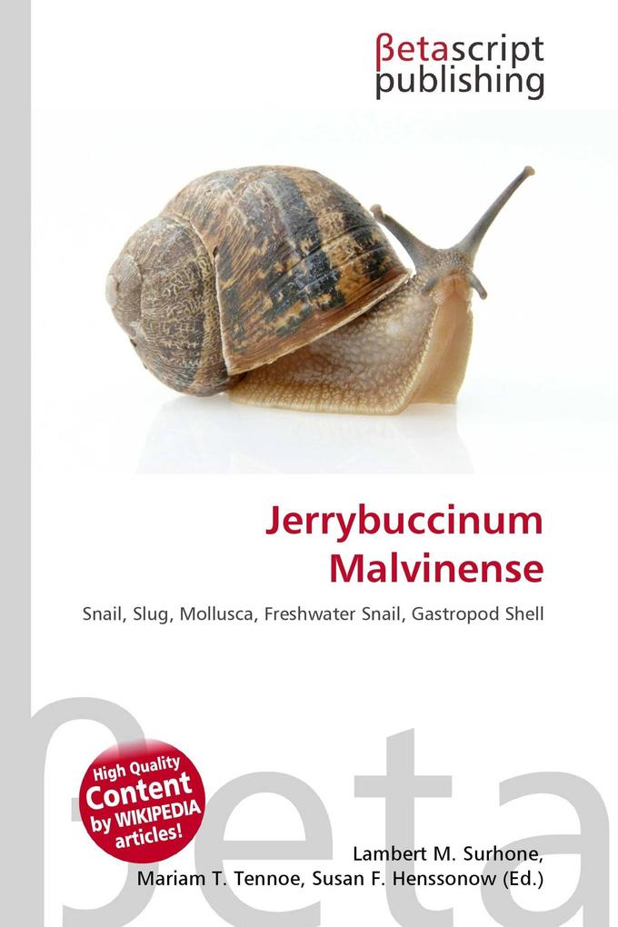 Jerrybuccinum Malvinense