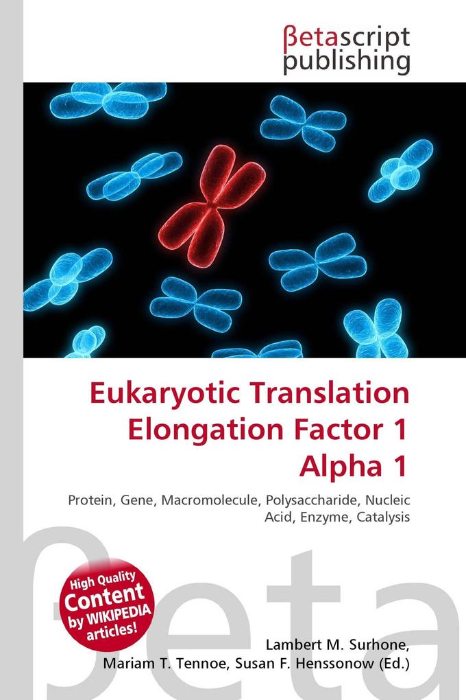 Eukaryotic Translation Elongation Factor 1 Alpha 1