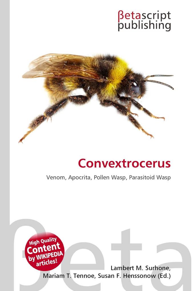 Convextrocerus