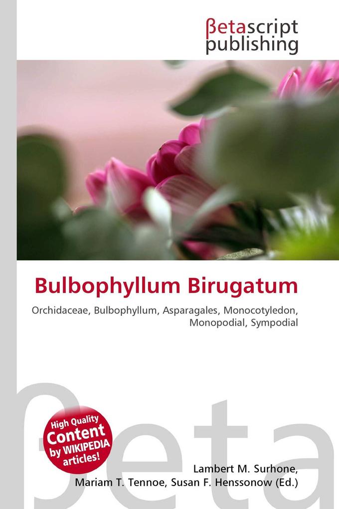Bulbophyllum Birugatum