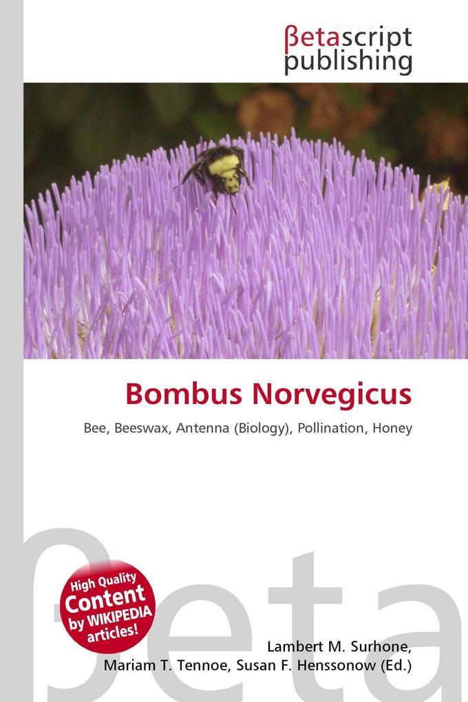 Bombus Norvegicus