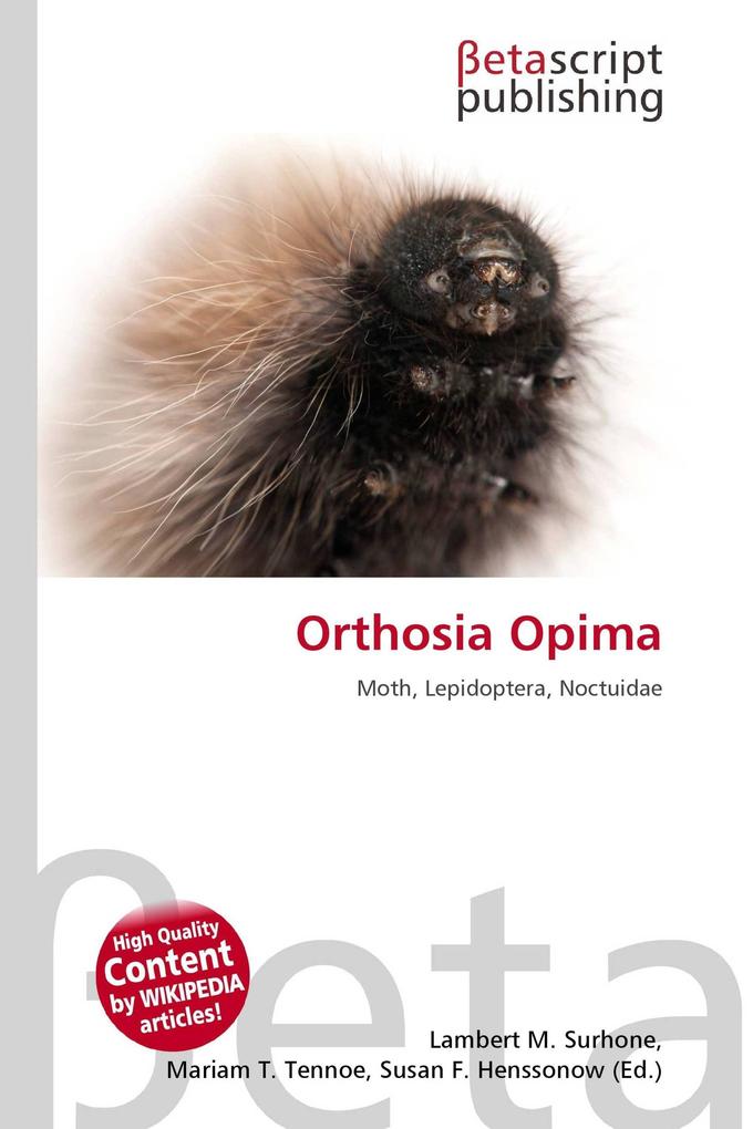 Orthosia Opima