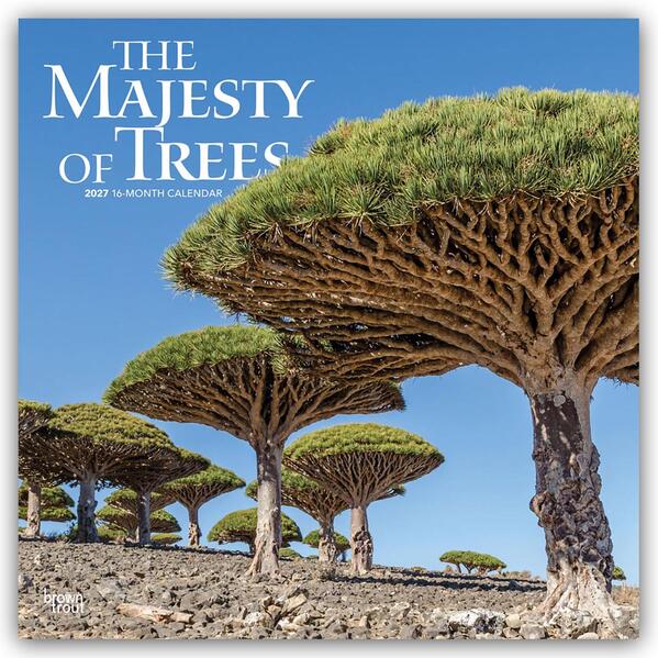 The Majesty of Trees - Die Erhabenheit der Bäume 2027 - 16-Monatskalender