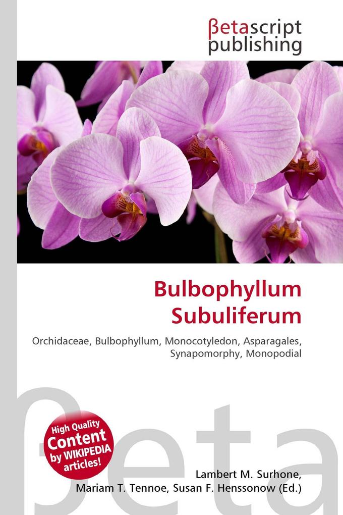 Bulbophyllum Subuliferum