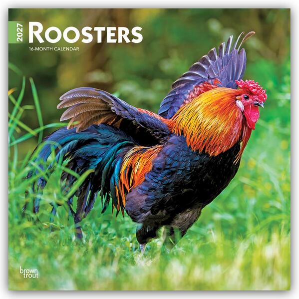 Roosters - Hähne 2027 - 16-Monatskalender