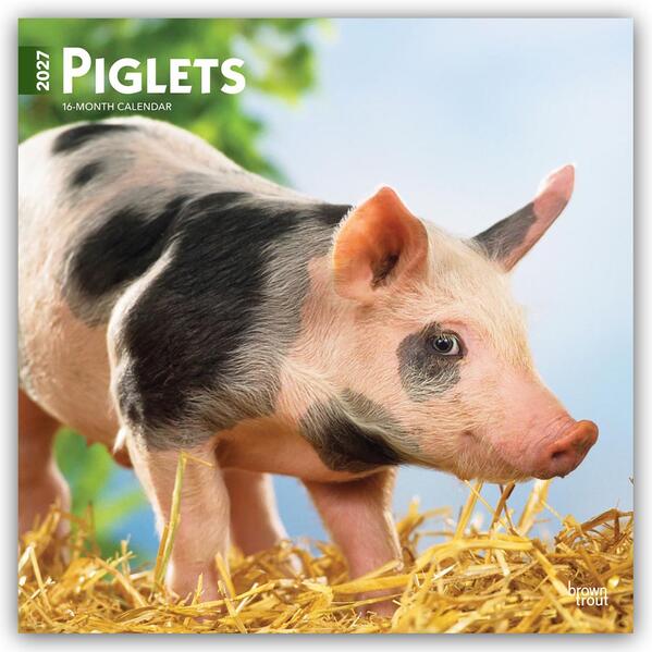 Piglets - Ferkel 2027 - 16-Monatskalender