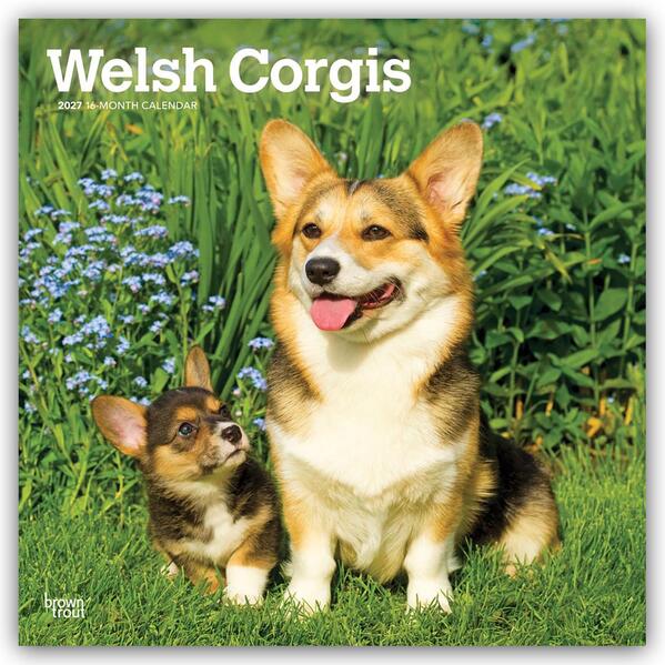 Welsh Corgis - Welsh Corgi 2027 - 16-Monatskalender