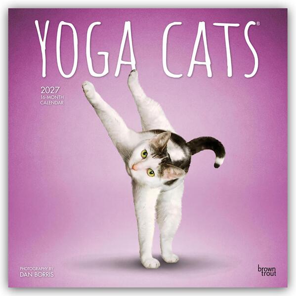Yoga Cats - Katzen Yoga 2027 - 16-Monatskalender