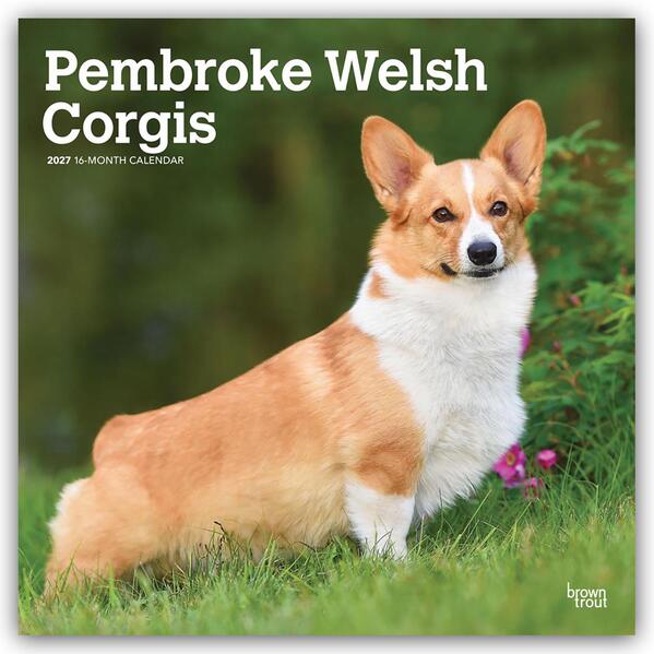 Pembroke Welsh Corgis - Pembroke Welsh Corgi 2027 - 16-Monatskalender