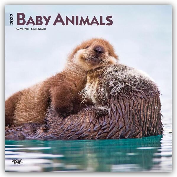 Baby Animals - Tierbabys - Tierkinder 2027 - 16-Monatskalender