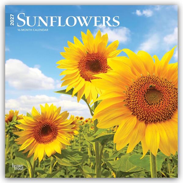 Sunflowers - Sonnenblumen 2027 - 16-Monatskalender
