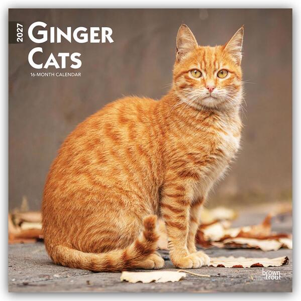 Ginger Cats - Gingerkatzen - Rote Katzen 2027 - 16-Monatskalender