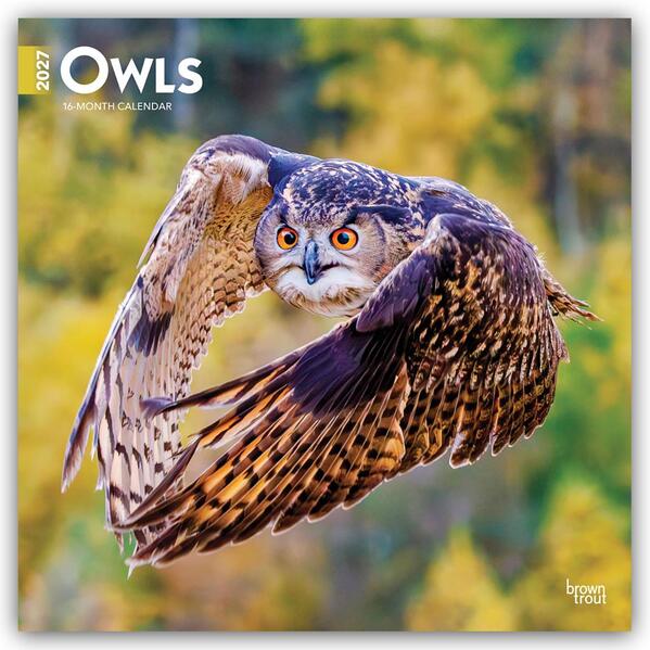 Owls 2027 12 X 24 Inch (Hanging) Monthly Square Wall Calendar Plastic-Free