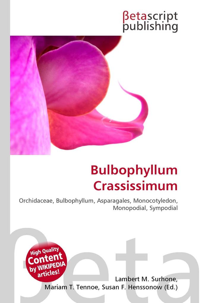 Bulbophyllum Crassissimum