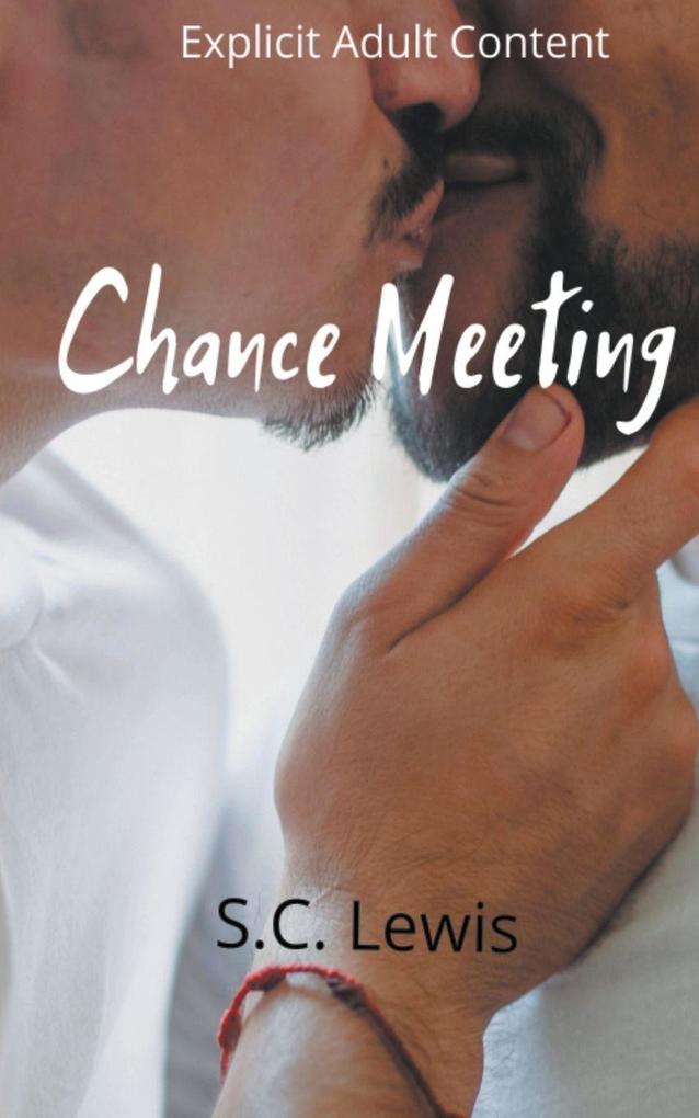Chance Meeting