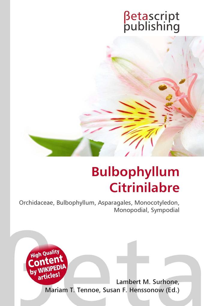 Bulbophyllum Citrinilabre
