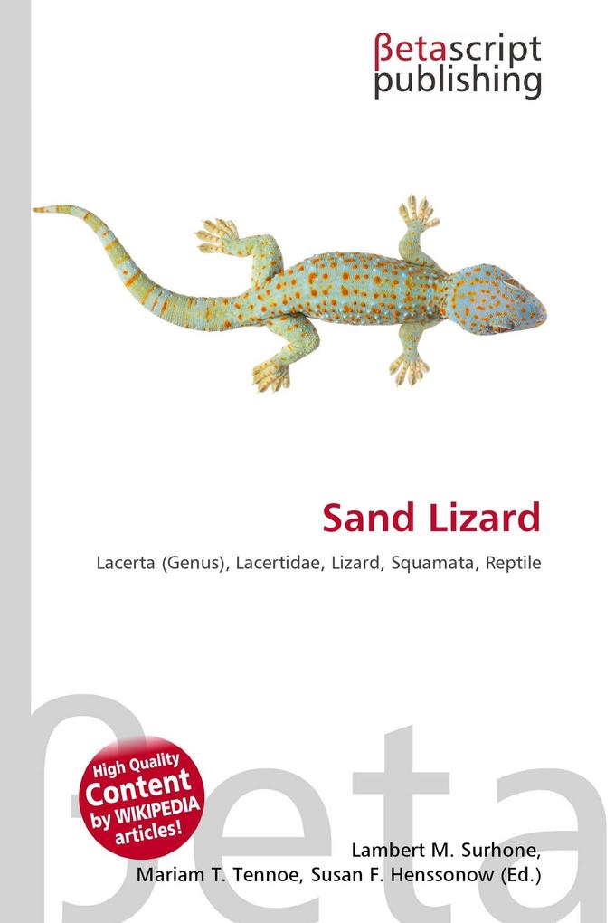 Sand Lizard