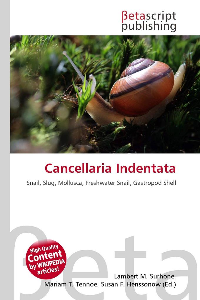 Cancellaria Indentata