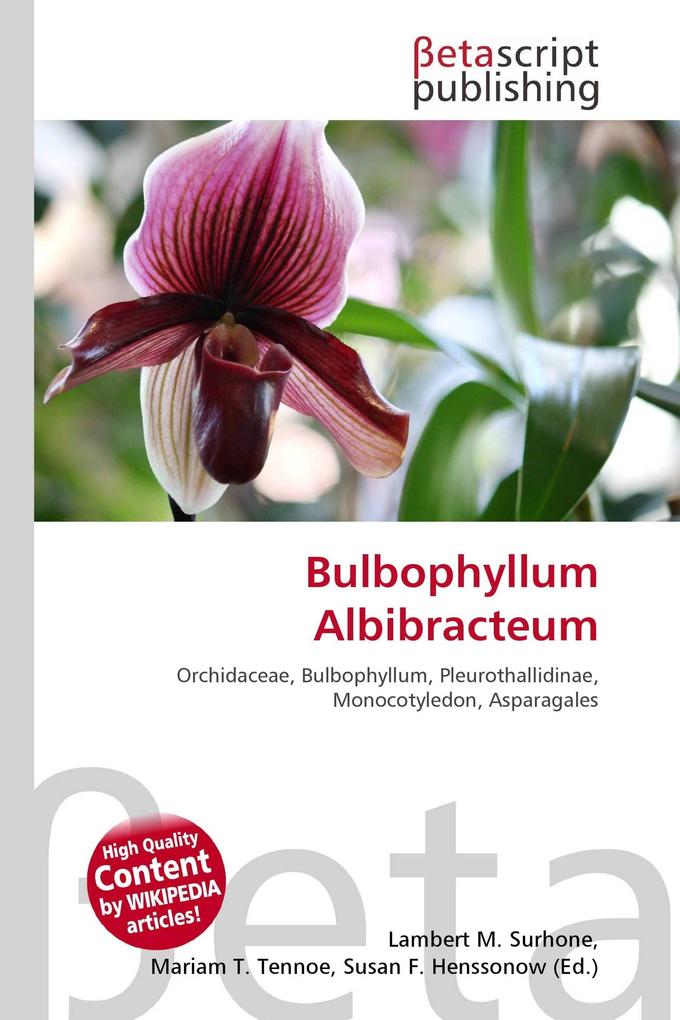 Bulbophyllum Albibracteum
