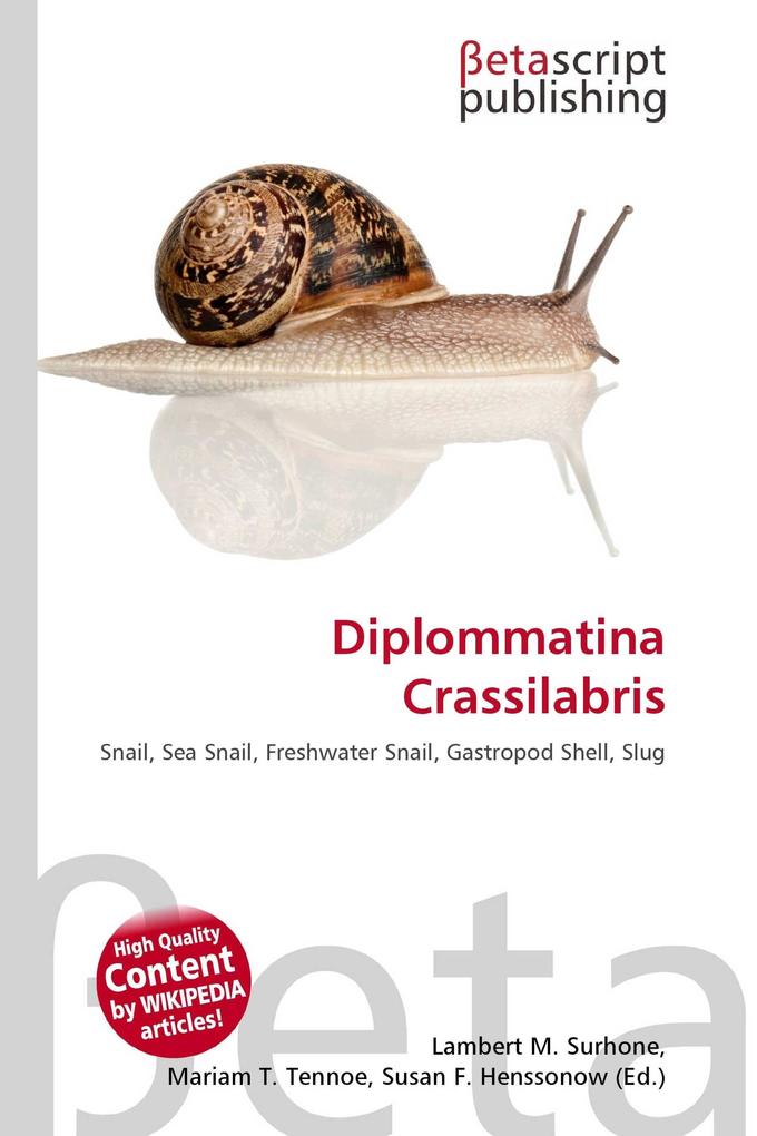 Diplommatina Crassilabris