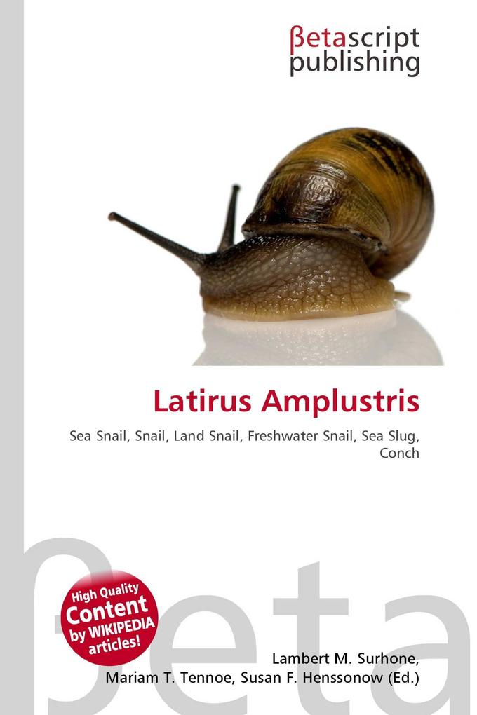 Latirus Amplustris