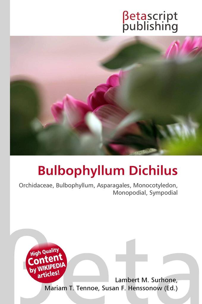 Bulbophyllum Dichilus