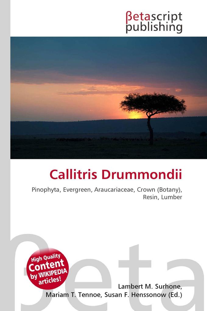 Callitris Drummondii