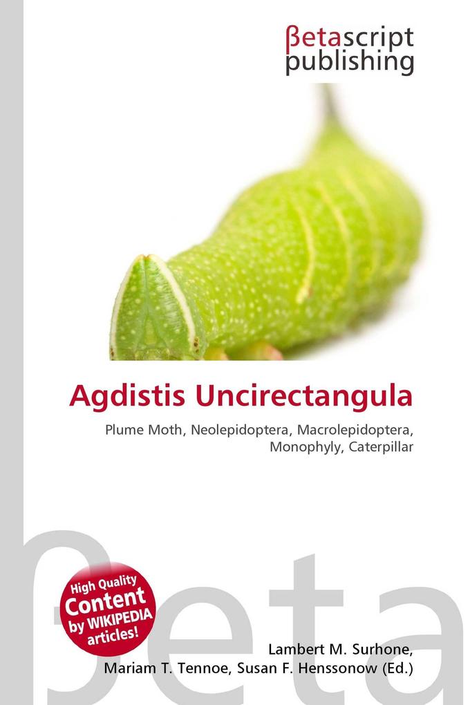 Agdistis Uncirectangula