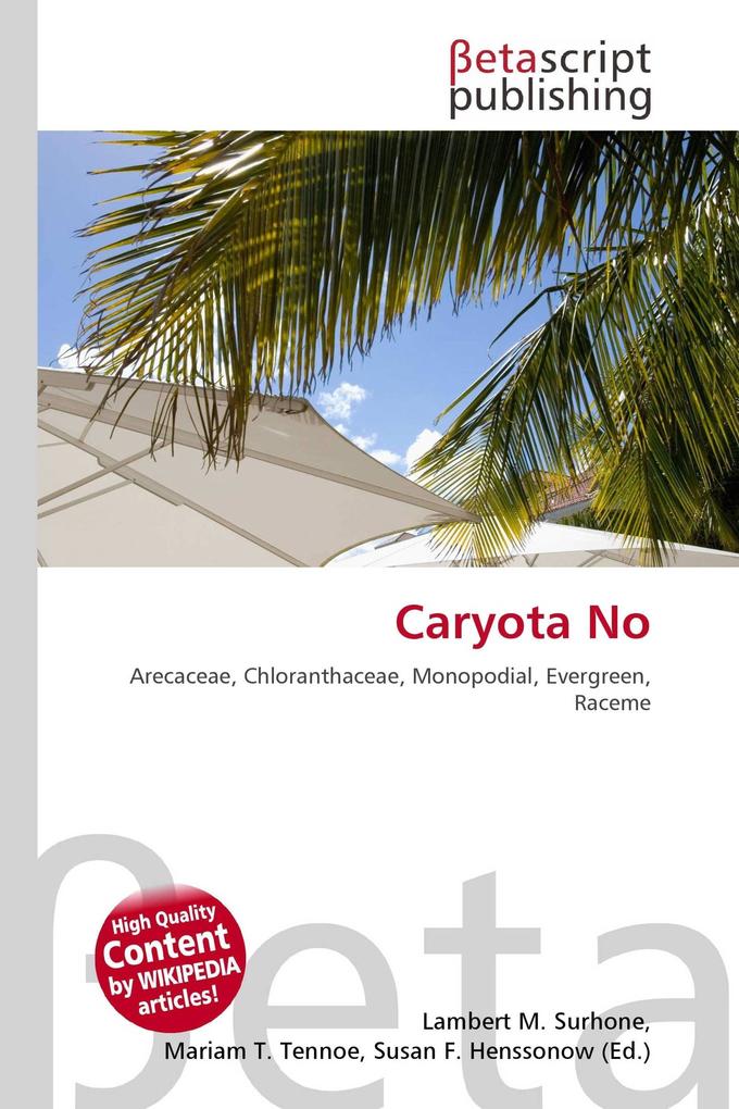 Caryota No