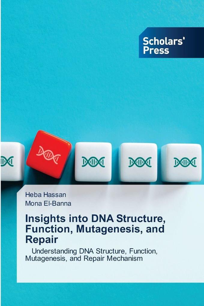 Insights into DNA Structure Function Mutagenesis and Repair