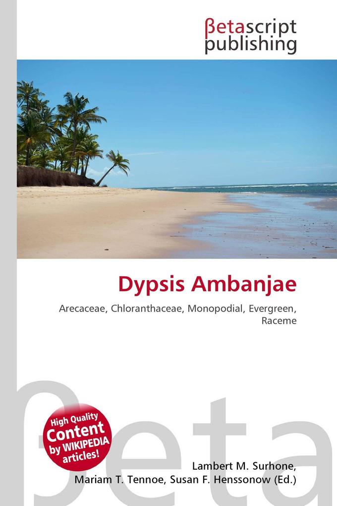 Dypsis Ambanjae
