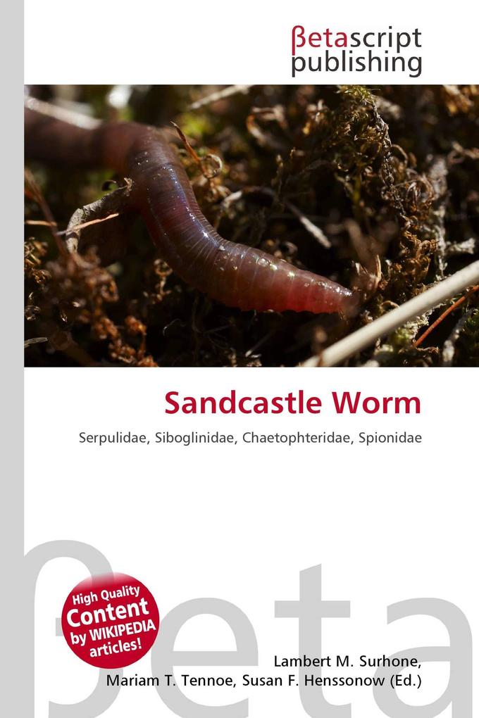 Sandcastle Worm