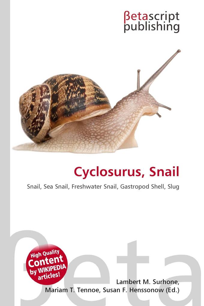 Cyclosurus Snail
