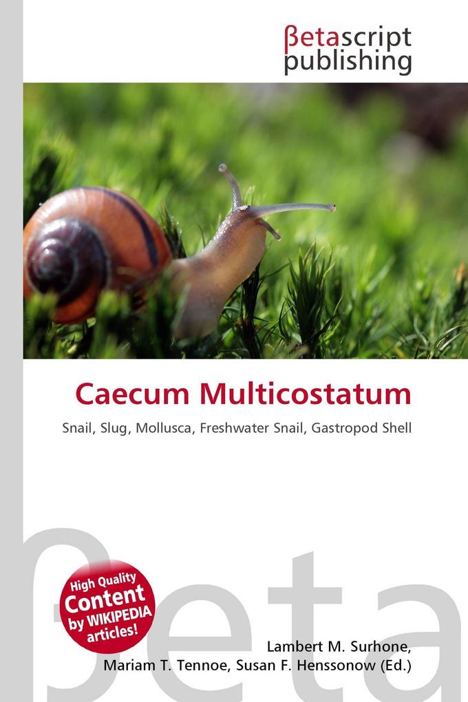 Caecum Multicostatum