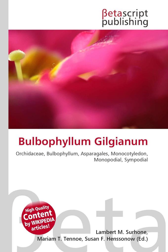 Bulbophyllum Gilgianum