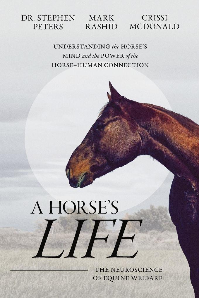 A Horse's Life
