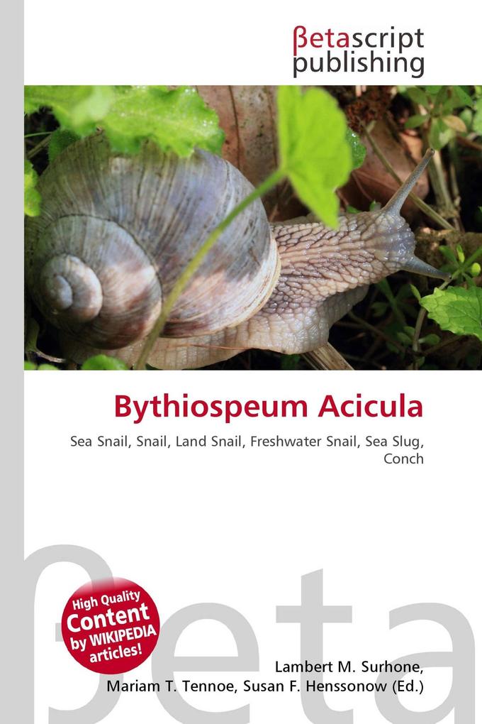 Bythiospeum Acicula