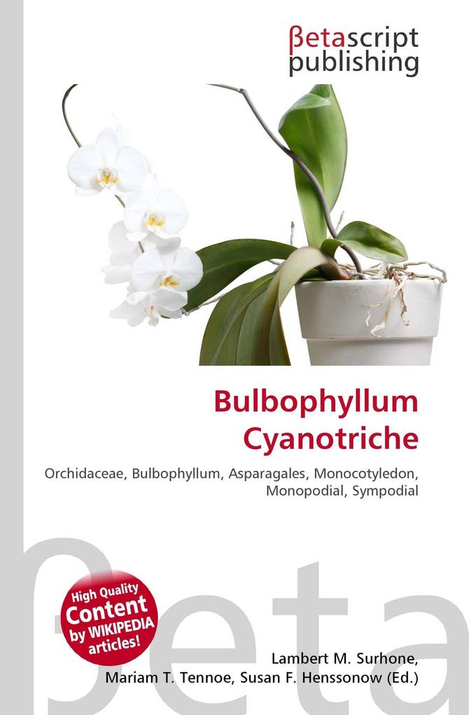 Bulbophyllum Cyanotriche