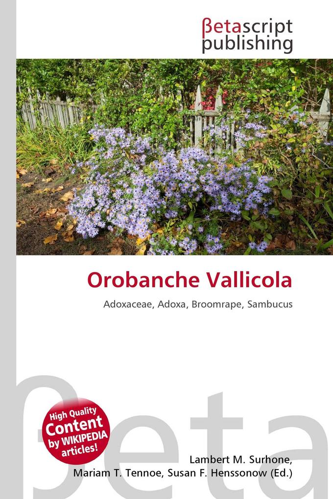 Orobanche Vallicola