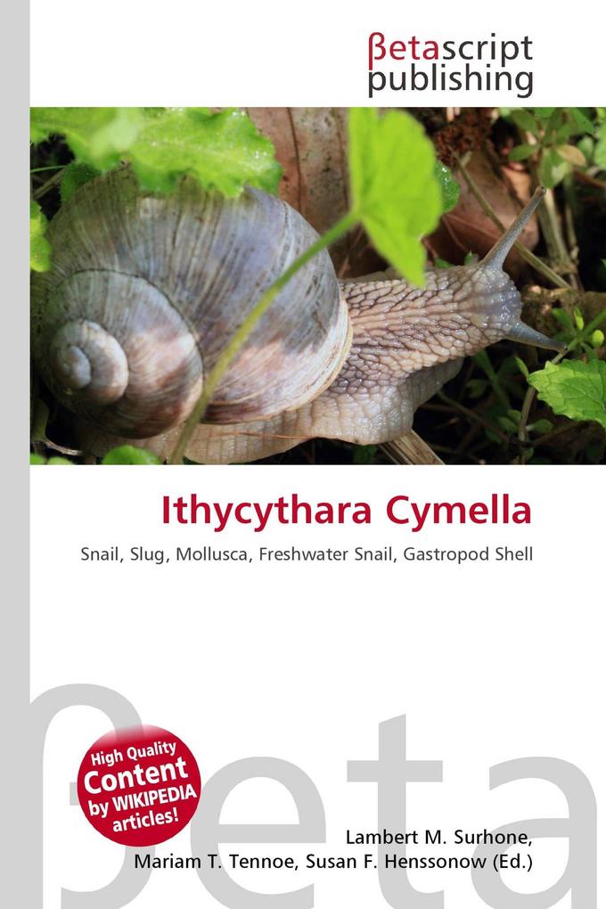 Ithycythara Cymella