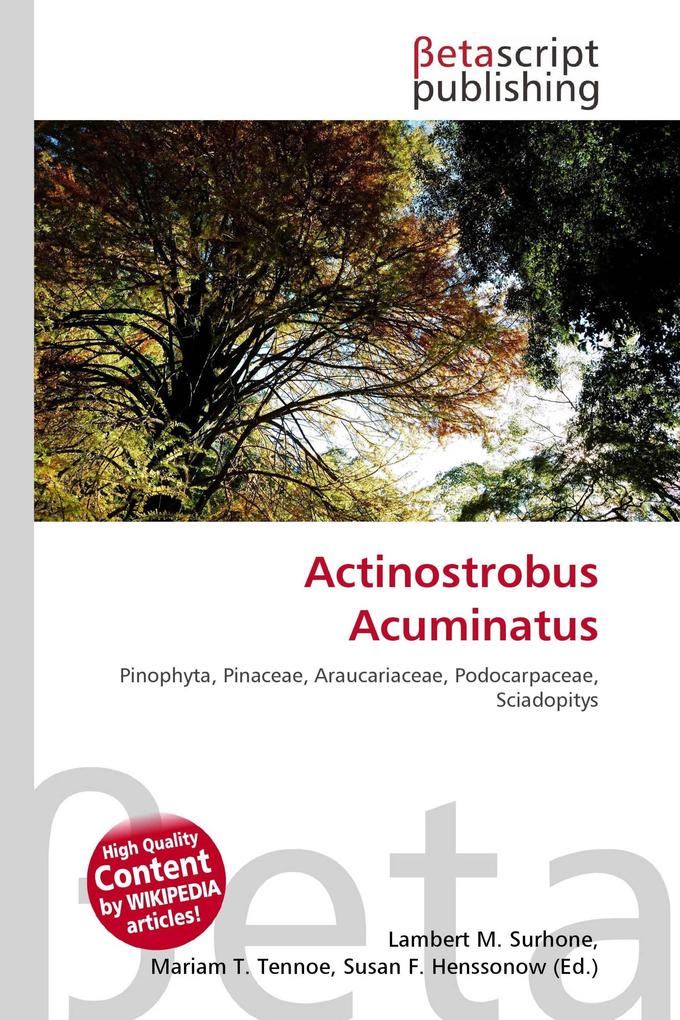 Actinostrobus Acuminatus
