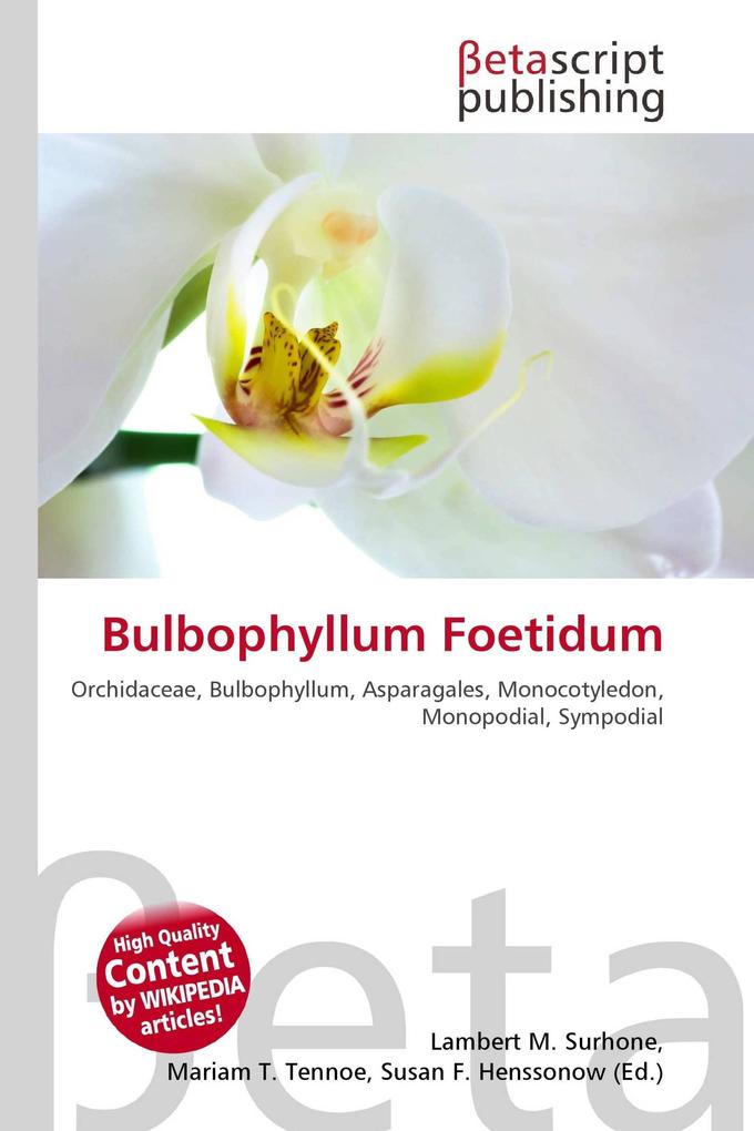 Bulbophyllum Foetidum