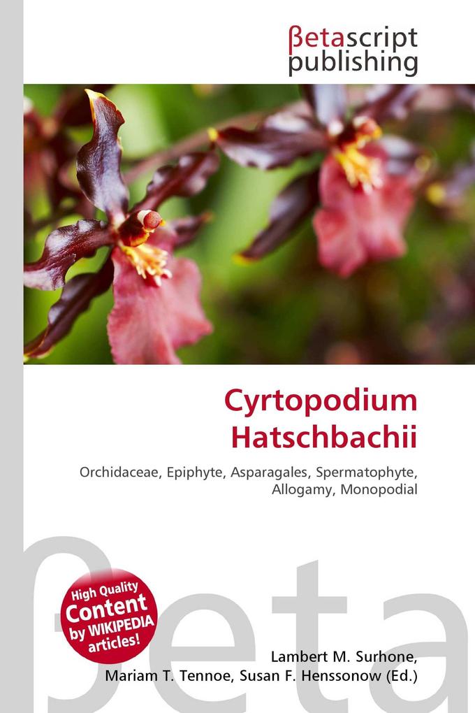 Cyrtopodium Hatschbachii