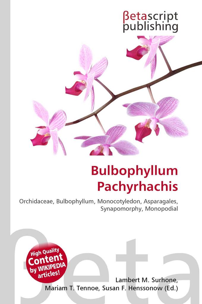 Bulbophyllum Pachyrhachis