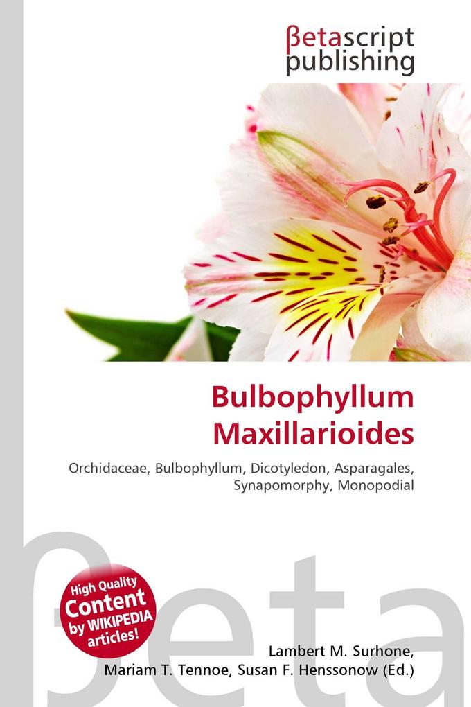 Bulbophyllum Maxillarioides